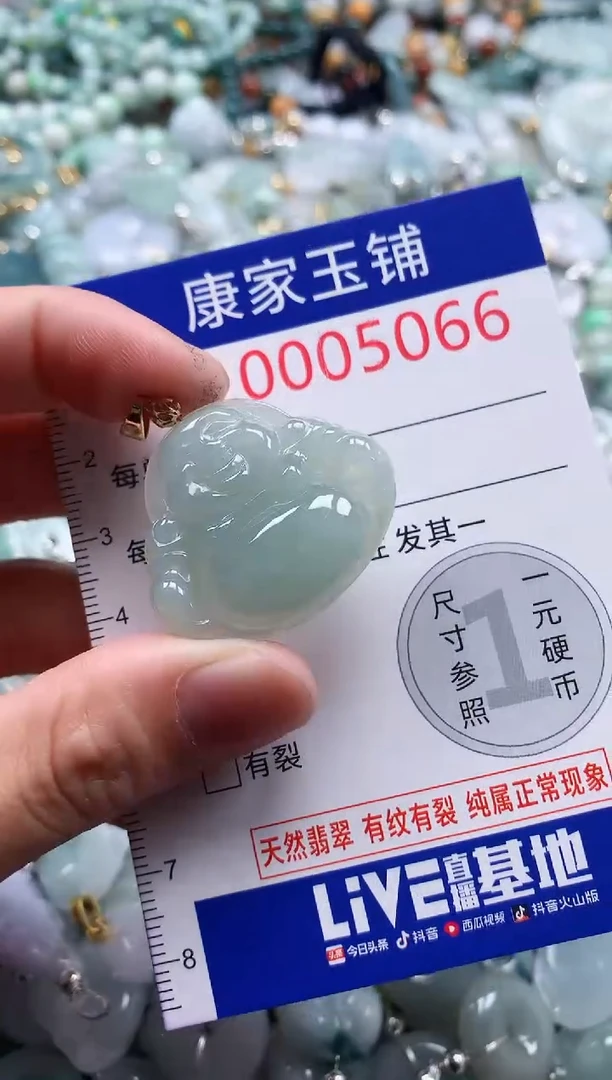 翡翠未镶嵌吊坠(不含链)5066