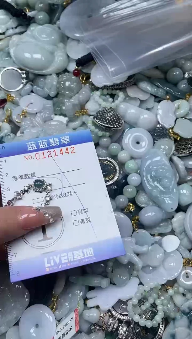 【闪购商品】翡翠颈饰未镶嵌闪购0121442