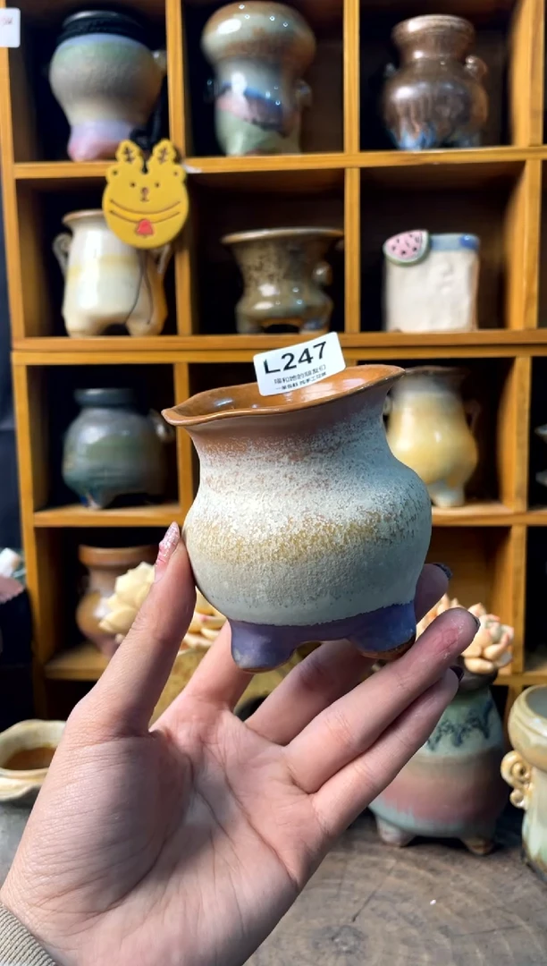 247内口7【多肉花盆多肉盆】