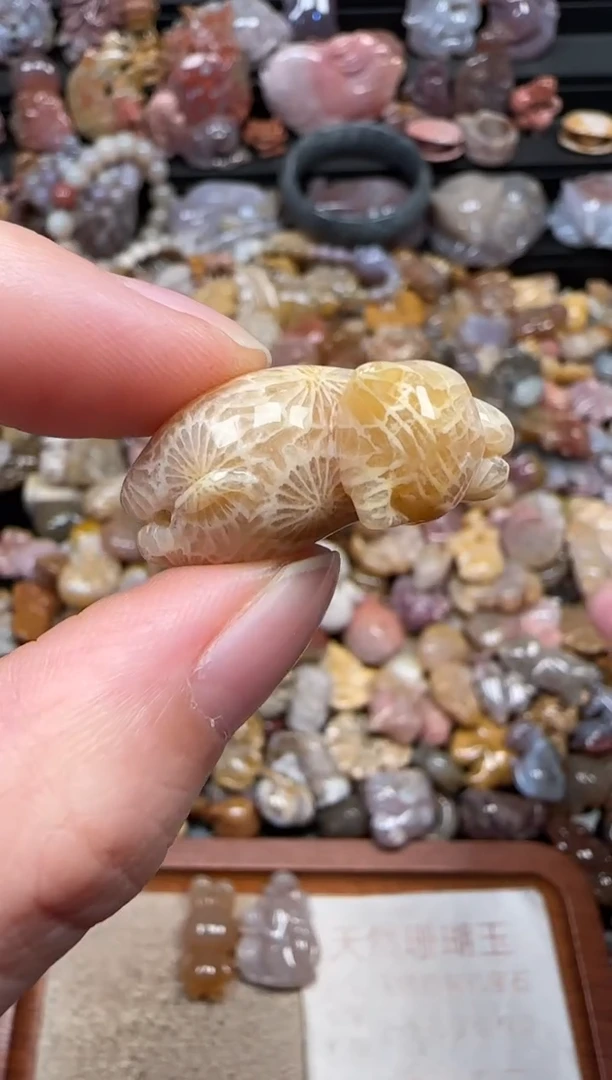 颈饰未镶嵌硅化珊瑚（珊瑚玉）213