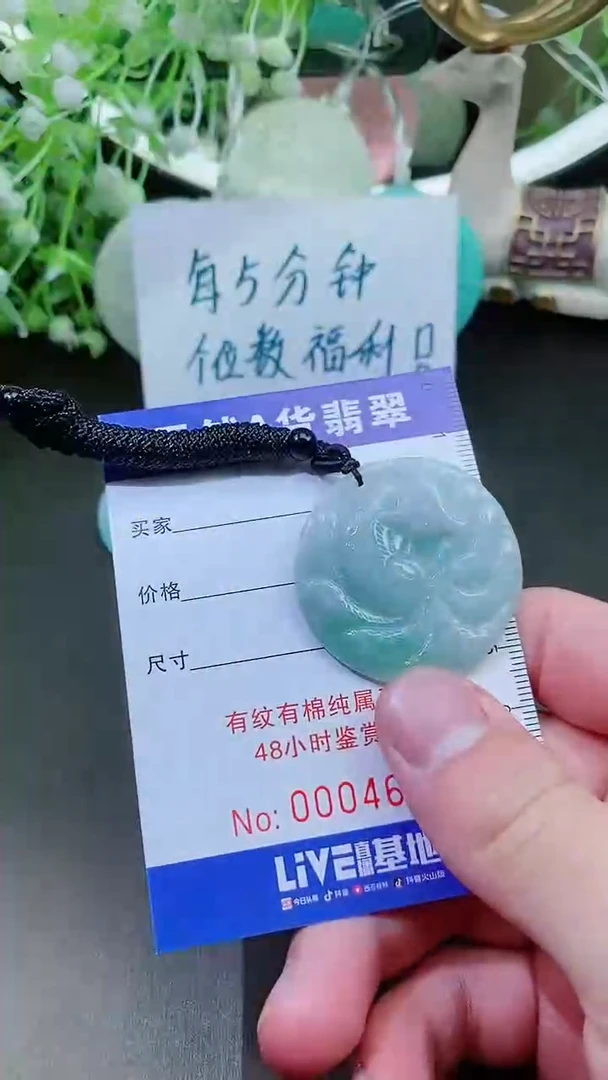 【闪购商品】翡翠颈饰未镶嵌天然A货翡翠一件
