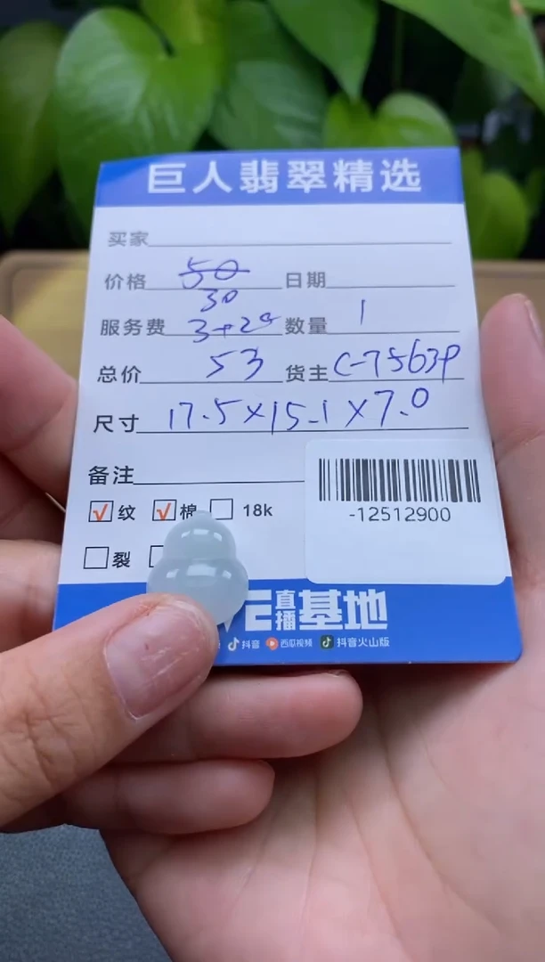 颈饰未镶嵌翡翠多人-12512900