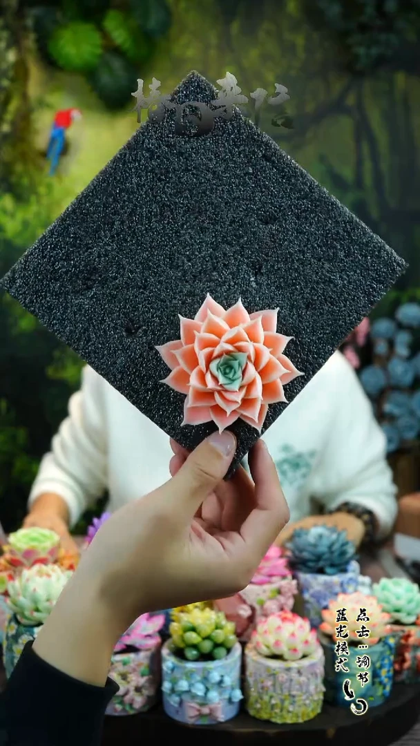 海滨格瑞。。。。。。。。。