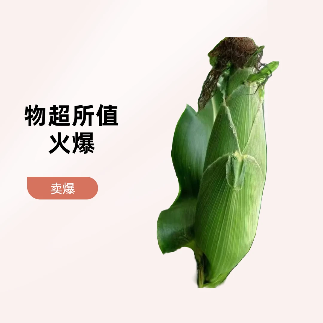 重庆潼南小甜糯白玉米8斤带箱装新鲜重庆市