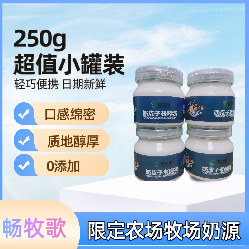 畅牧歌正宗奶皮子老酸奶自然发酵酸奶零添加内蒙古奶皮子