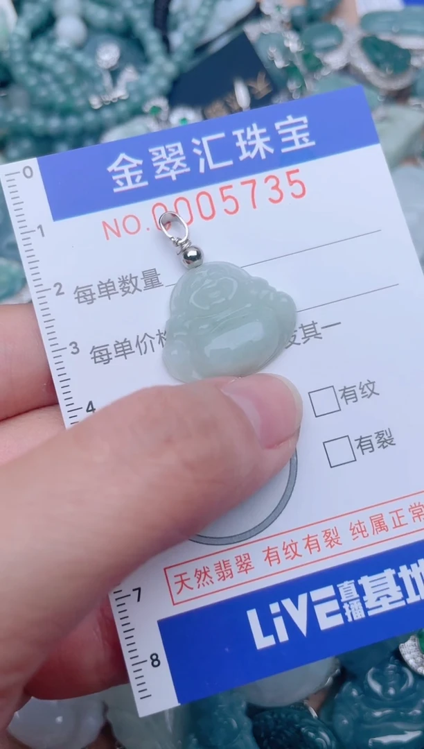 翡翠未镶嵌颈饰5735........1