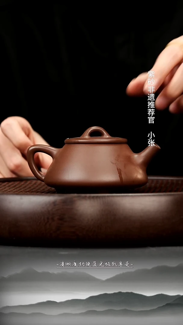 茶壶紫砂31 革紫 子冶石瓢