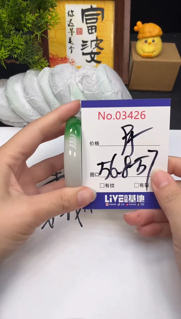 未镶嵌手镯翡翠3426