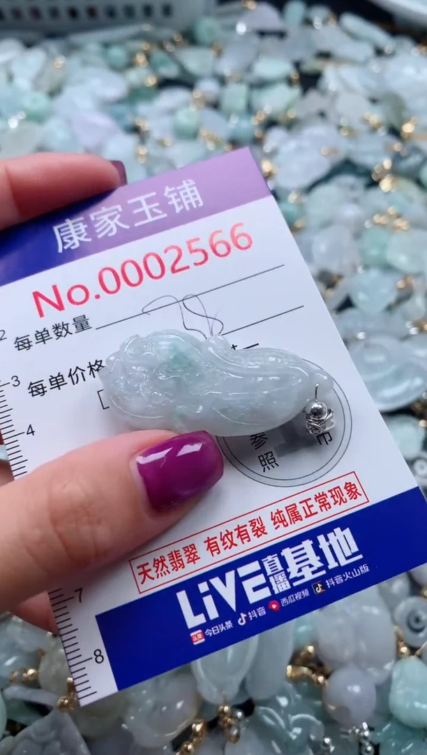 颈饰未镶嵌翡翠2566
