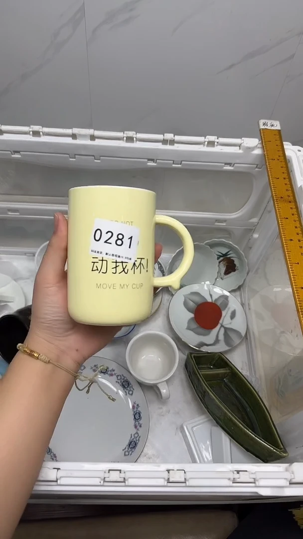 【闪购商品】281回流瓷器默认微瑕，18.8包邮