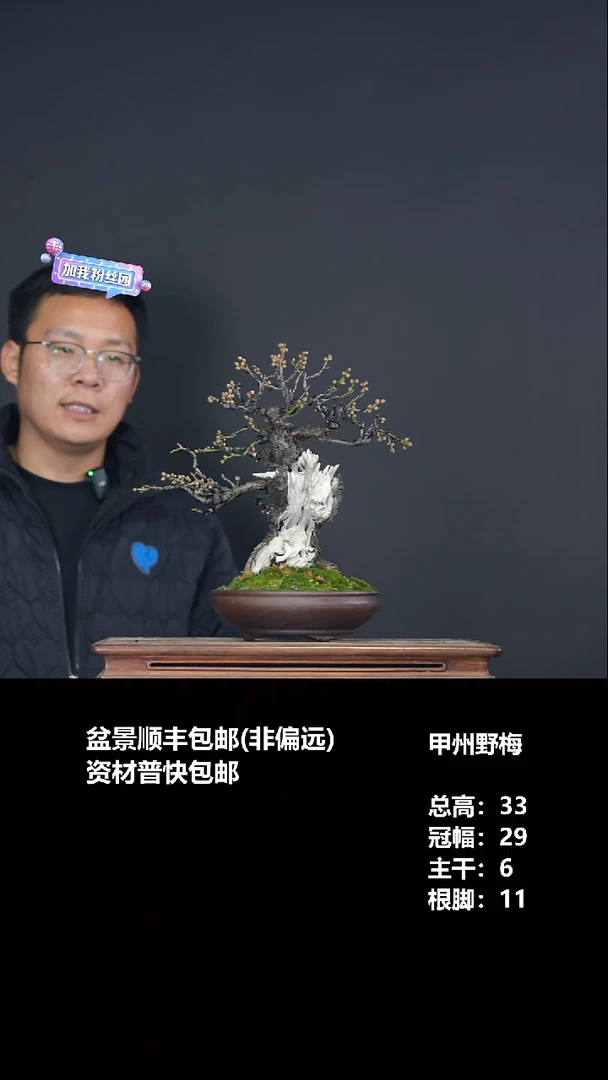 无花朵甲州野梅-