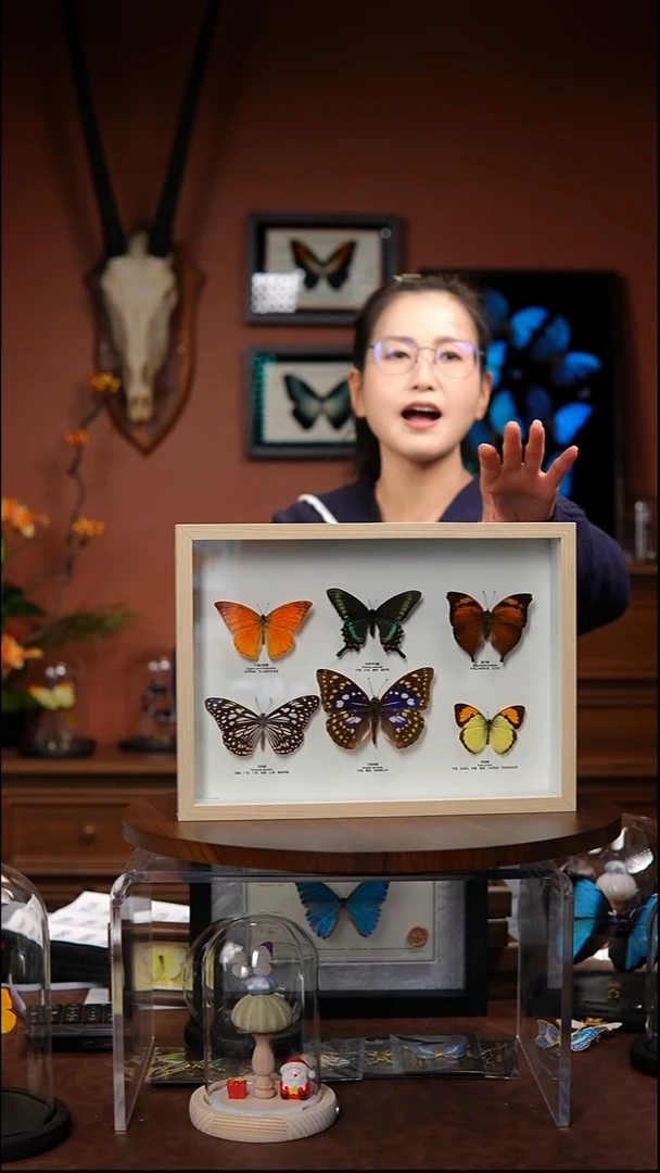 6蝴蝶组合小绿带版