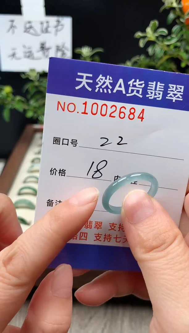 未镶嵌戒指翡翠22#