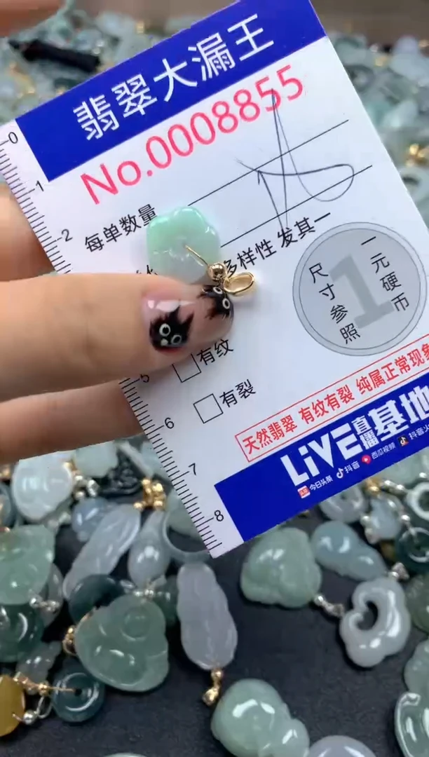 颈饰未镶嵌翡翠8855