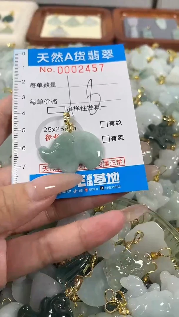 翡翠未镶嵌颈饰净货挂件-2457