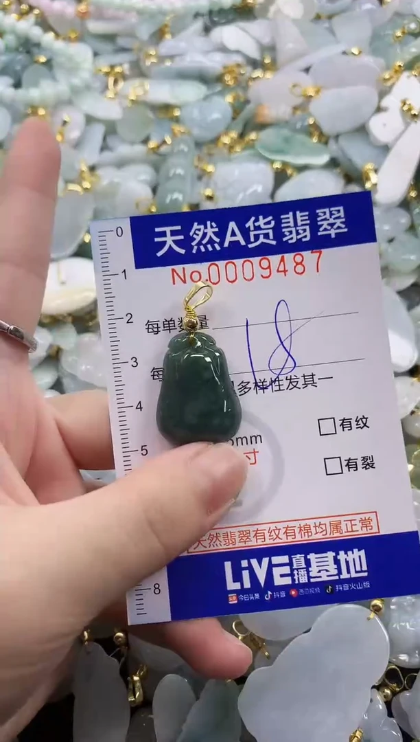 颈饰未镶嵌翡翠天然A货翡翠
