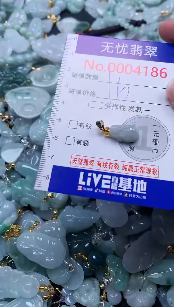 颈饰未镶嵌翡翠4186