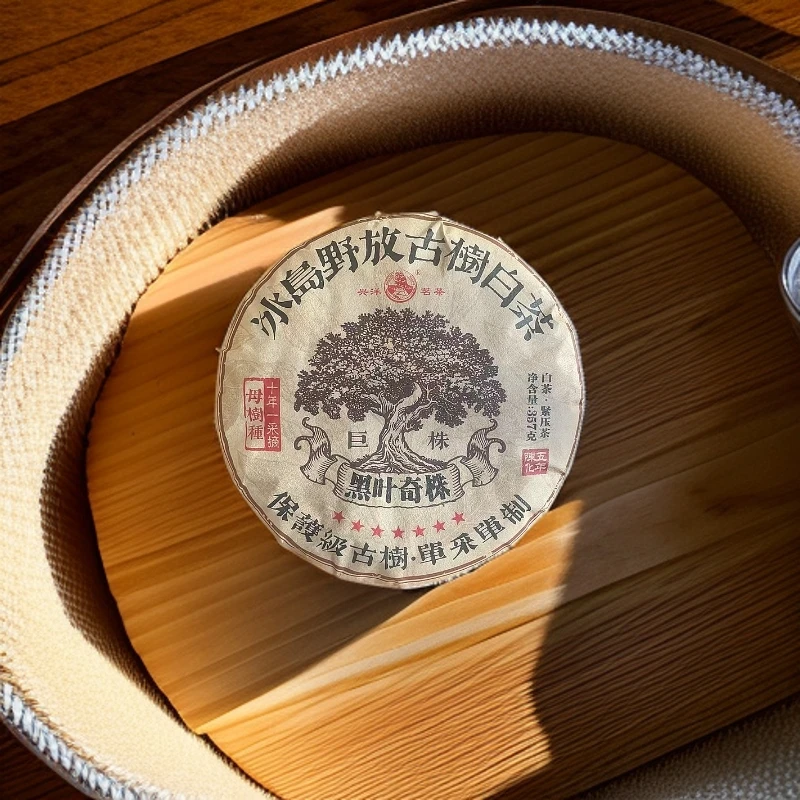 【董事长私藏】2023年巨株黑叶奇株普洱白茶357g