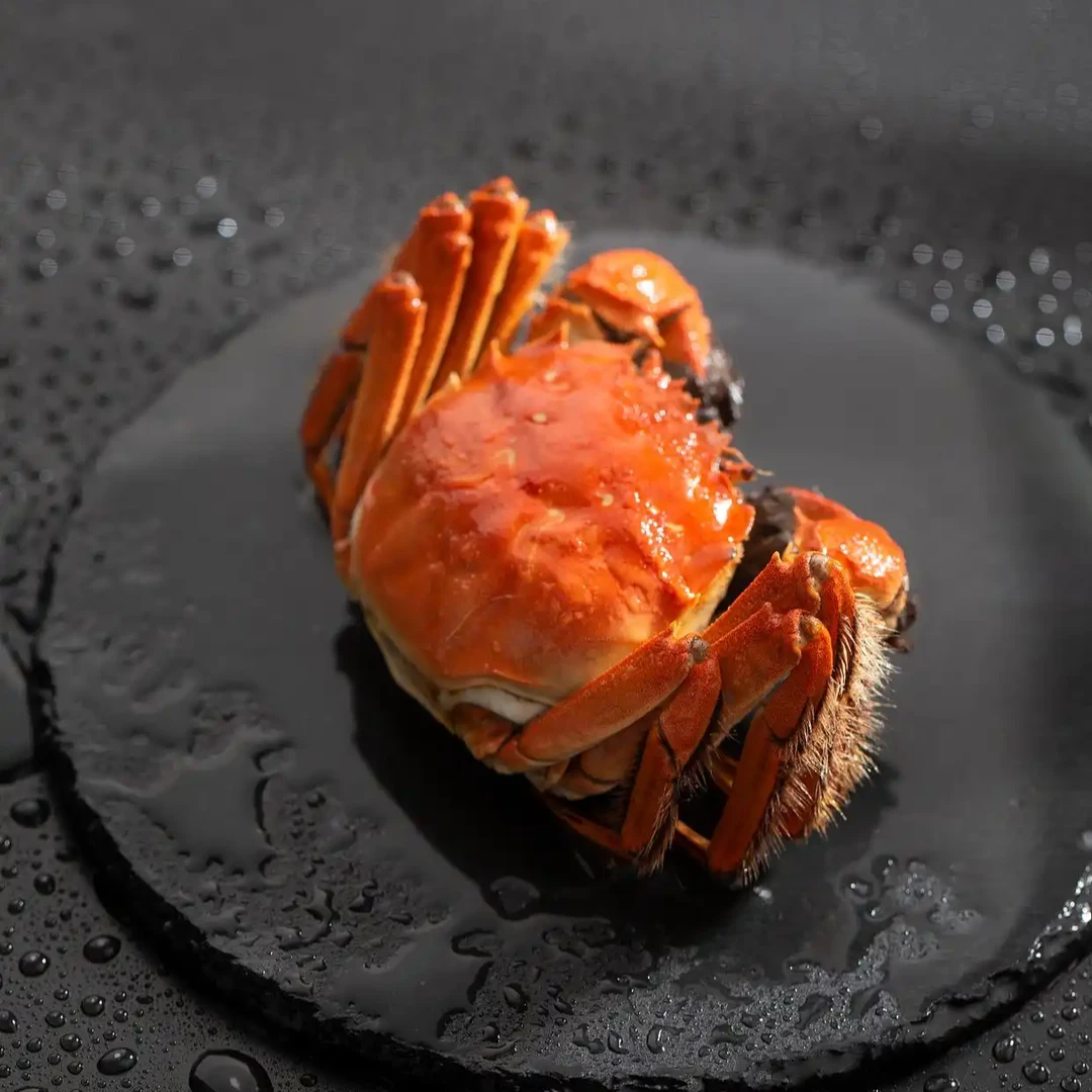 【活蟹】江苏精品大闸蟹全母蟹3.2-2.9两8只+2只礼盒装现发冷链包邮