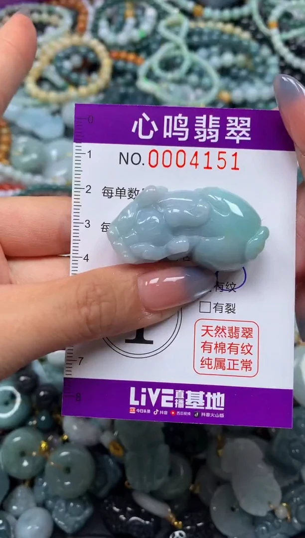颈饰未镶嵌翡翠闪购004151
