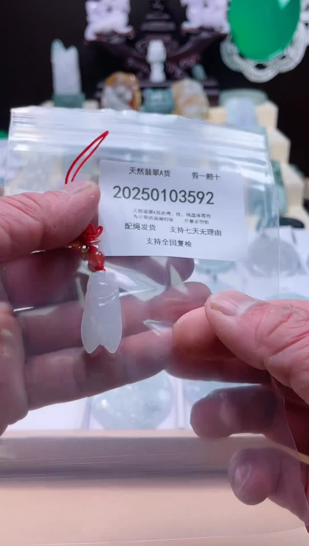 【闪购商品】翡翠颈饰未镶嵌闪购商品8号店200250010013