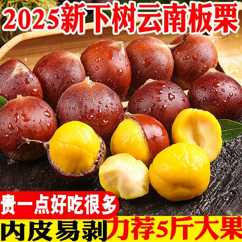丹东板栗2025新鲜生栗子野生板栗带壳粉糯香甜不难剥皮批发价蔬菜
