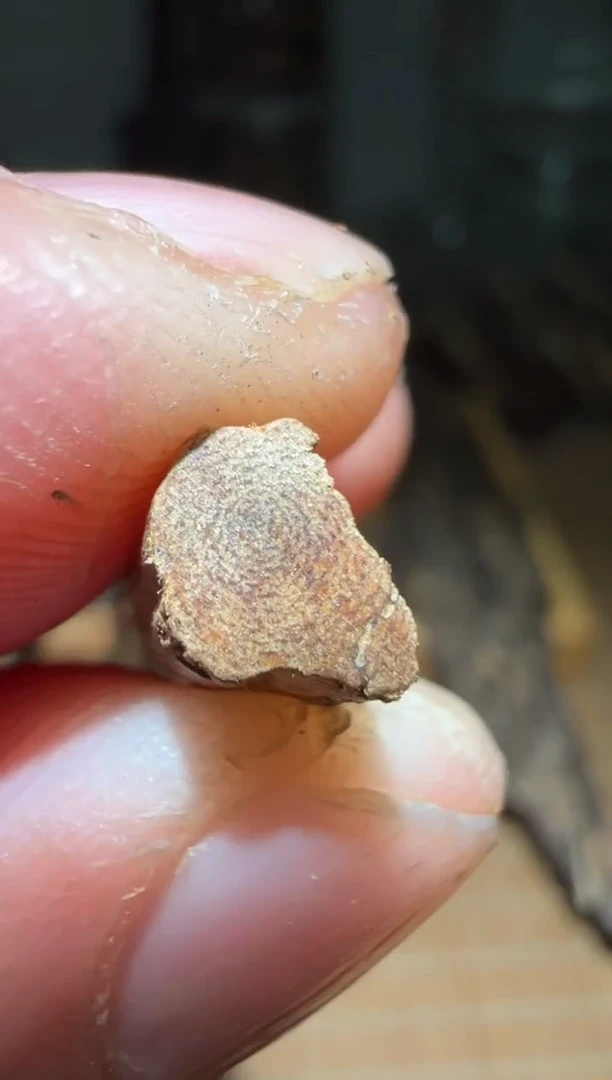 【闪购商品】沉香沉香碎屑达拉干2.8克