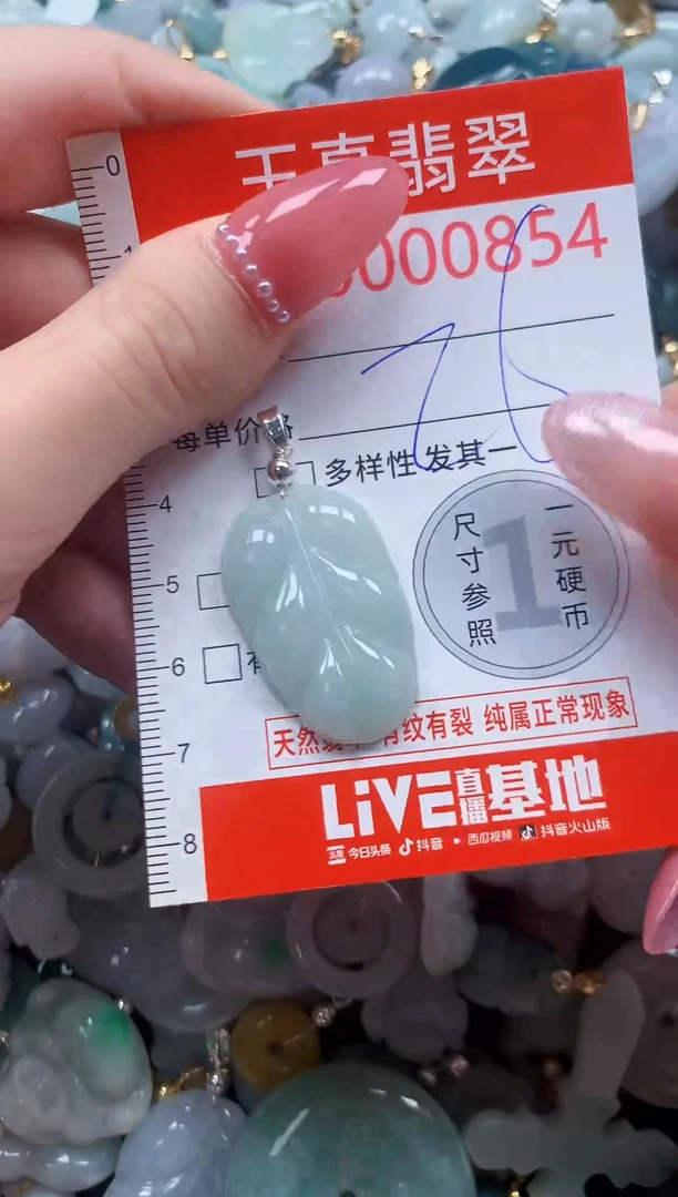 翡翠未镶嵌吊坠(不含链)0854