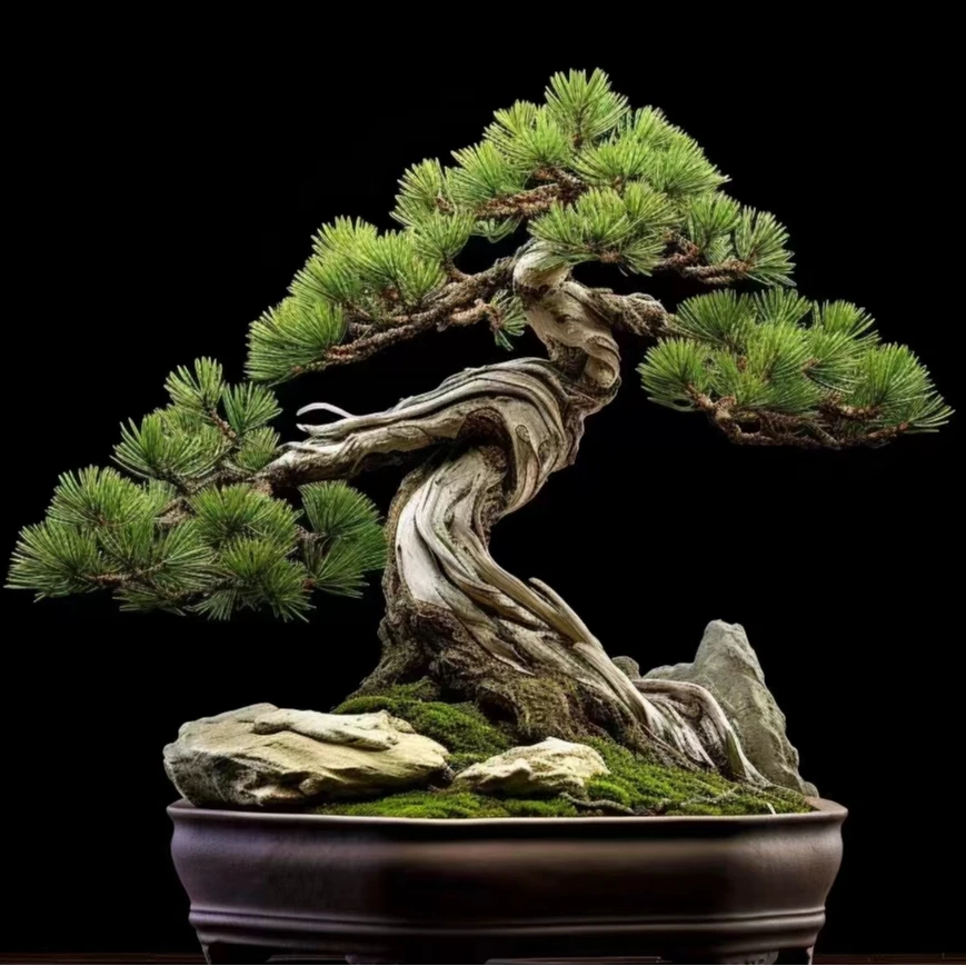 创意花卉造型盆景新