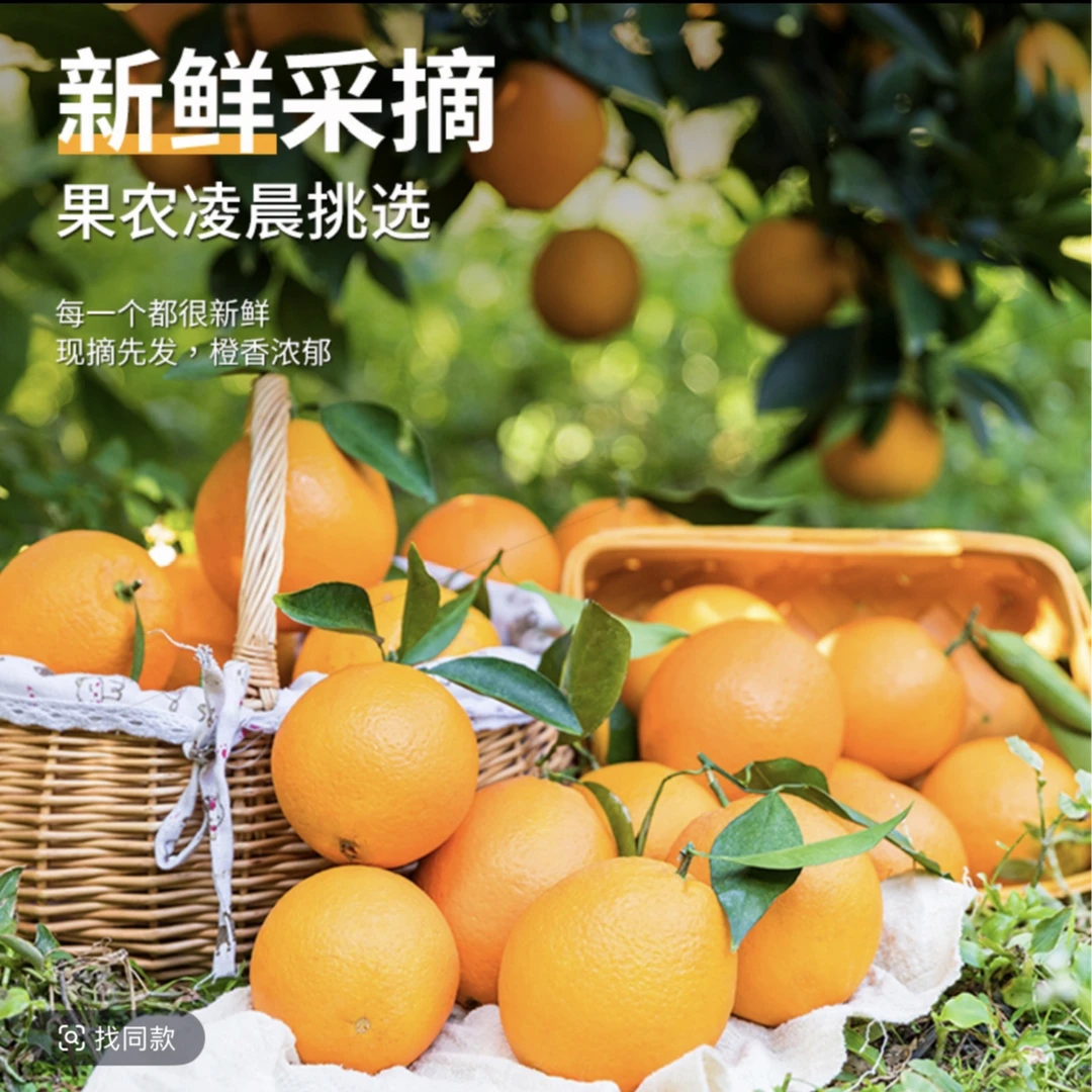 江西赣南正宗脐橙新鲜当季水大果手剥甜橙产地直发