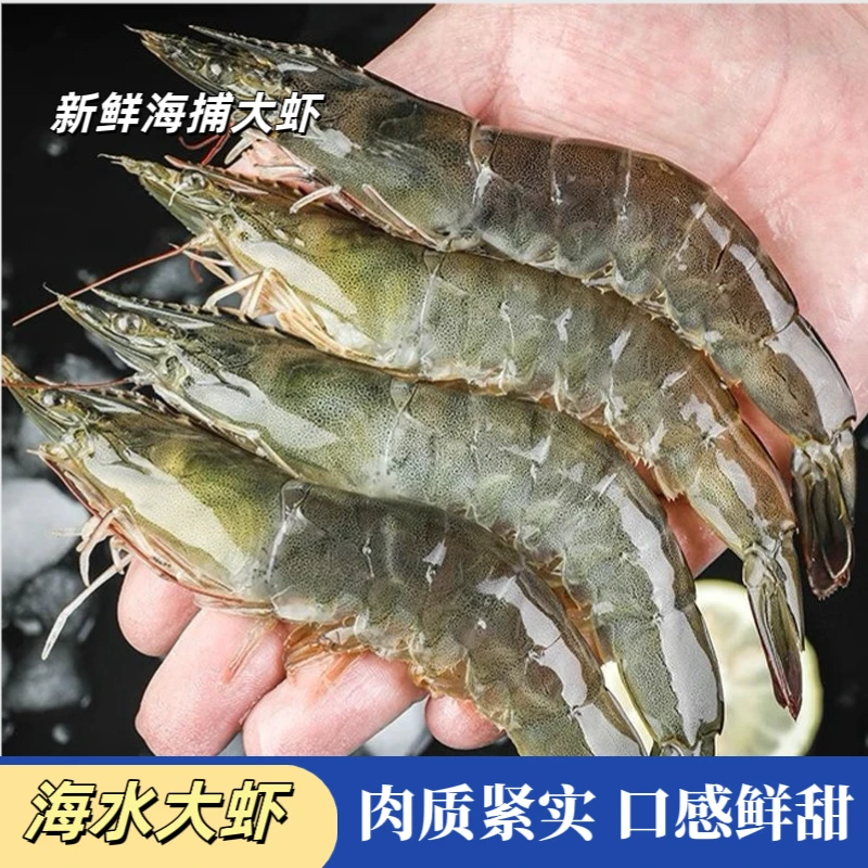 特大号海洋大虾 新鲜活虾锁冻到手5斤 12-15只/斤 顺丰冷链发货