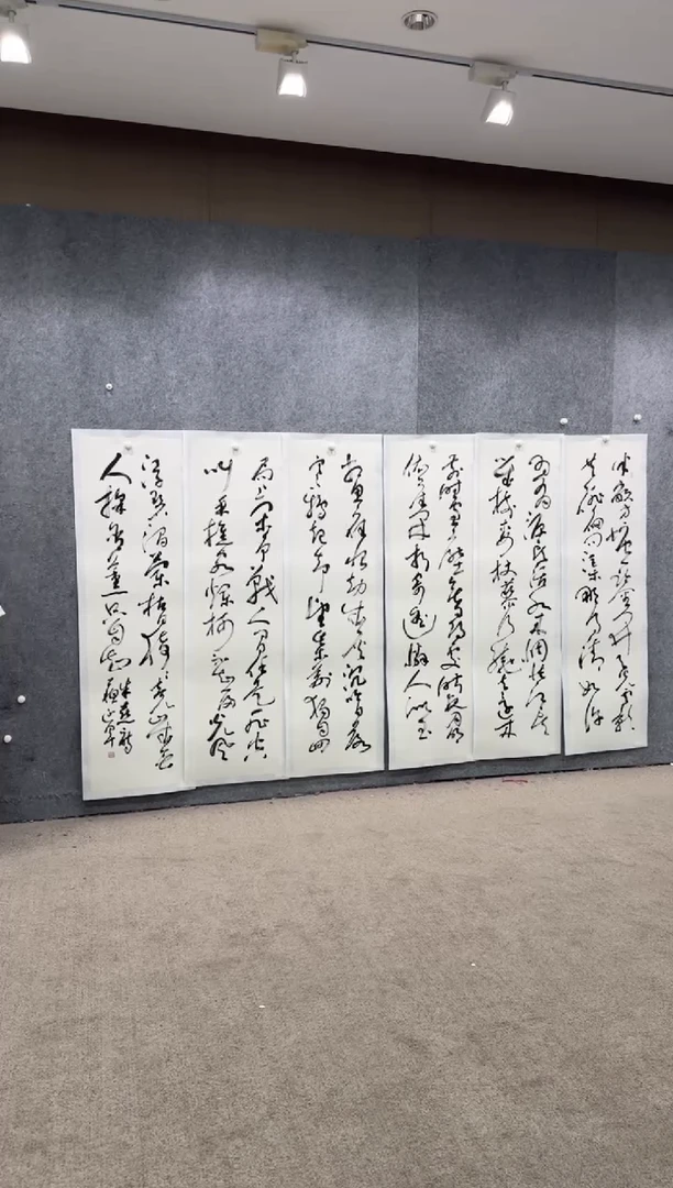 【闪购商品】书法pmw不二轩旗舰店书法SYJ25