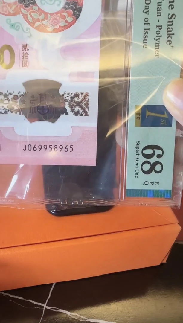 塑料2025 蛇钞 单张  啊啊啊