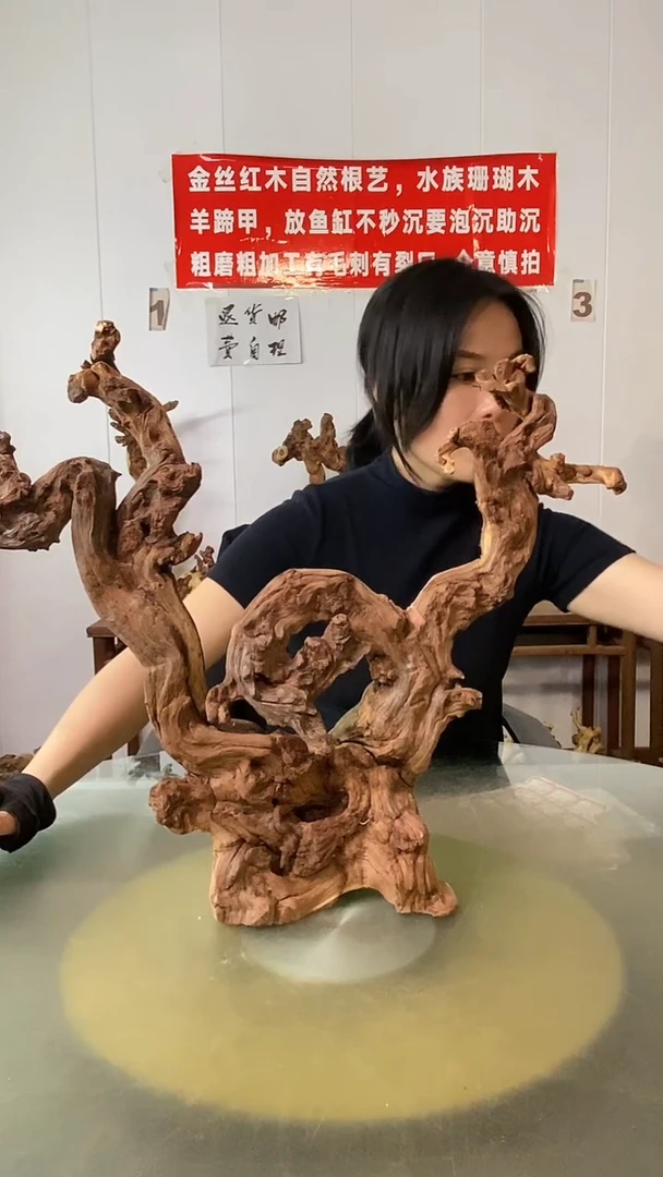 木马*！金丝红木 羊蹄甲