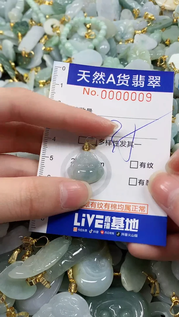 颈饰未镶嵌翡翠纯天然a货翡翠