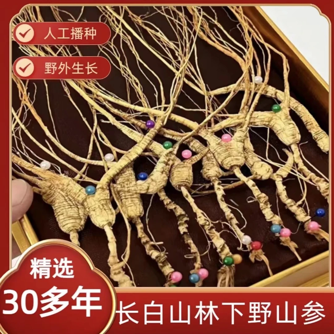 30多年林下野山参长白山林下参野拨籽泡酒煲汤林下干参足干人参
