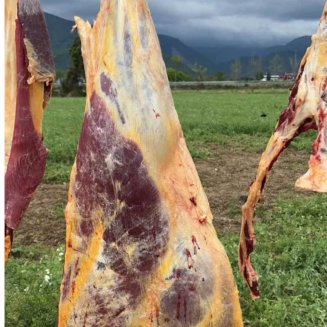 四川农村耕地土黄牛