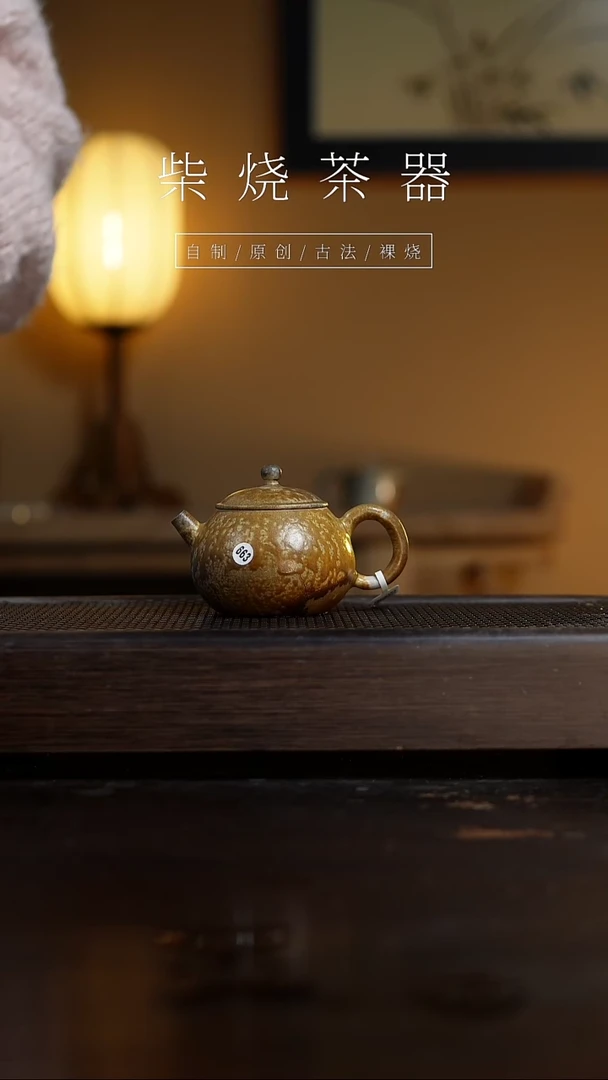 【闪购商品】663壶...........