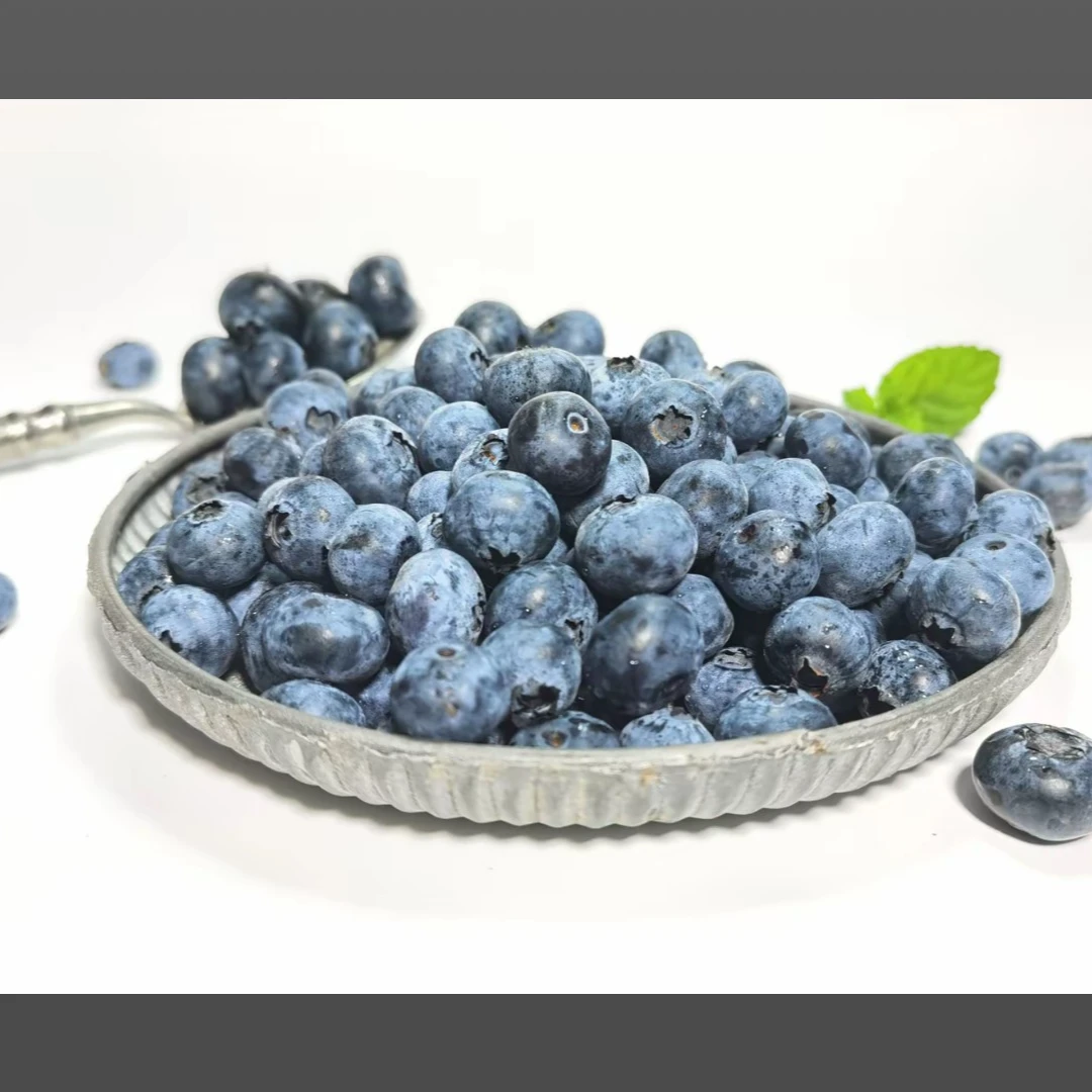 【蓝莓特大果】李庄蓝莓新鲜采摘精选特大果顺丰包邮