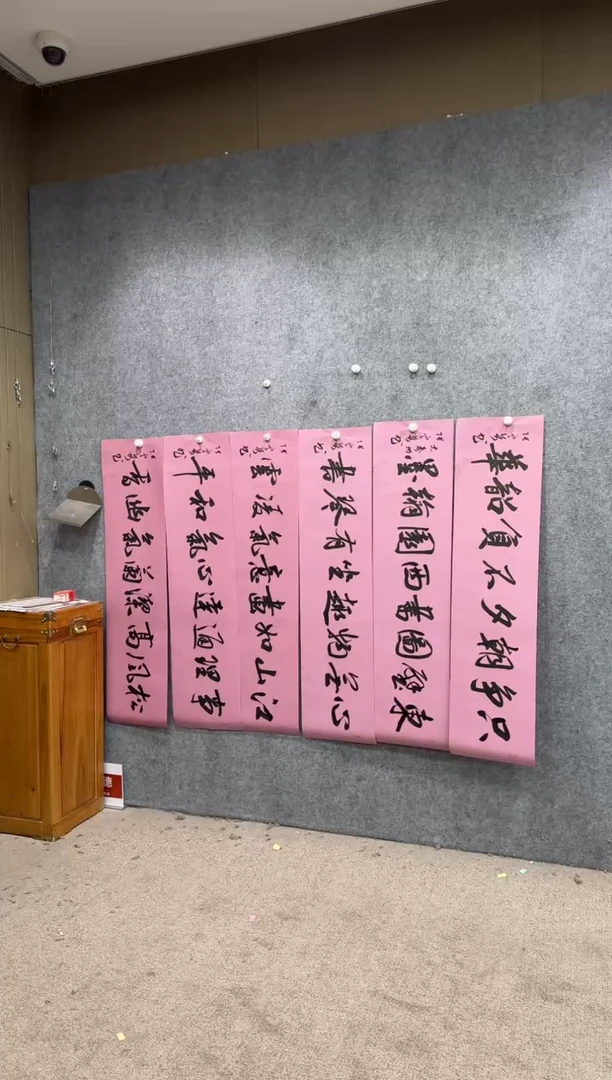 【闪购商品】书法pmw不二轩旗舰店书法ZDQ32