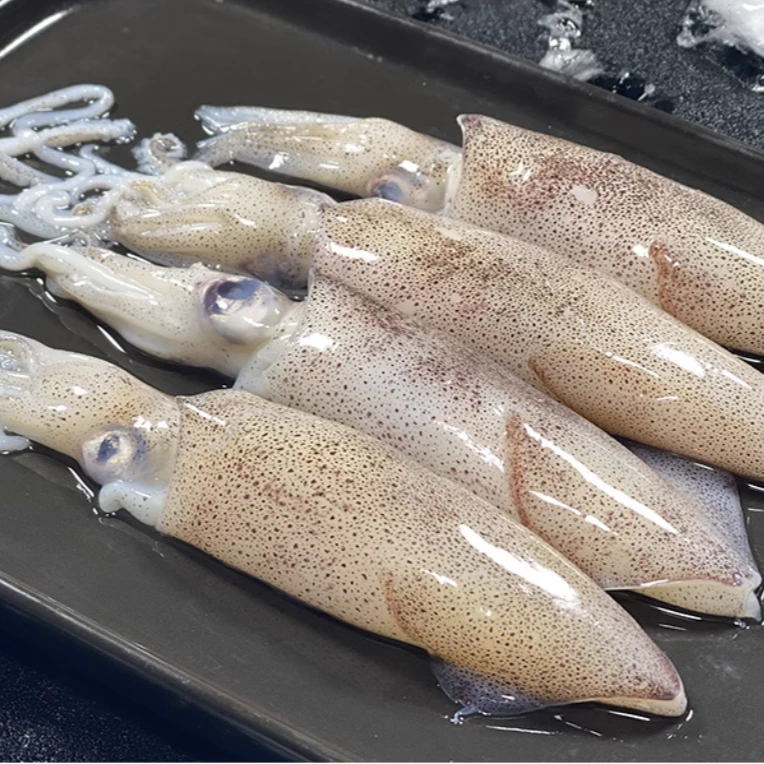 海捕大号 大笔管鱼 到手5斤 500g/包 （烹饪时间不宜超过1分钟）