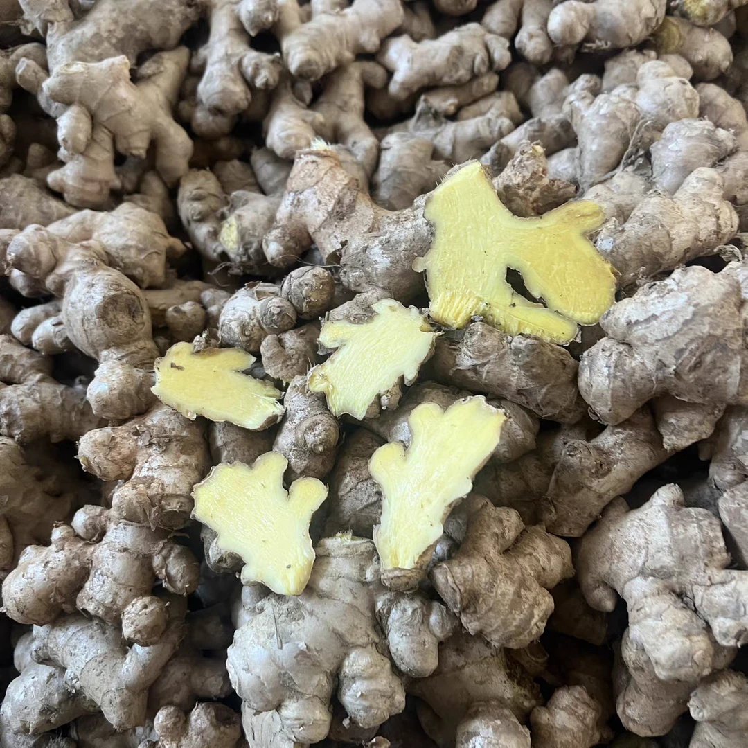 农家自种小黄姜  新鲜采挖 姜味浓郁