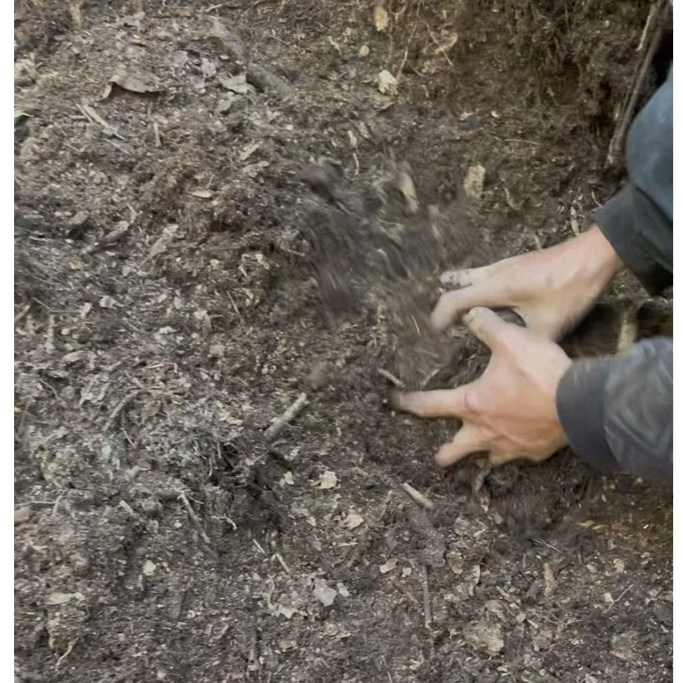 高山杜鹃腐叶土原生腐质土杜鹃花天然营养土杜鹃花专用土腐殖土