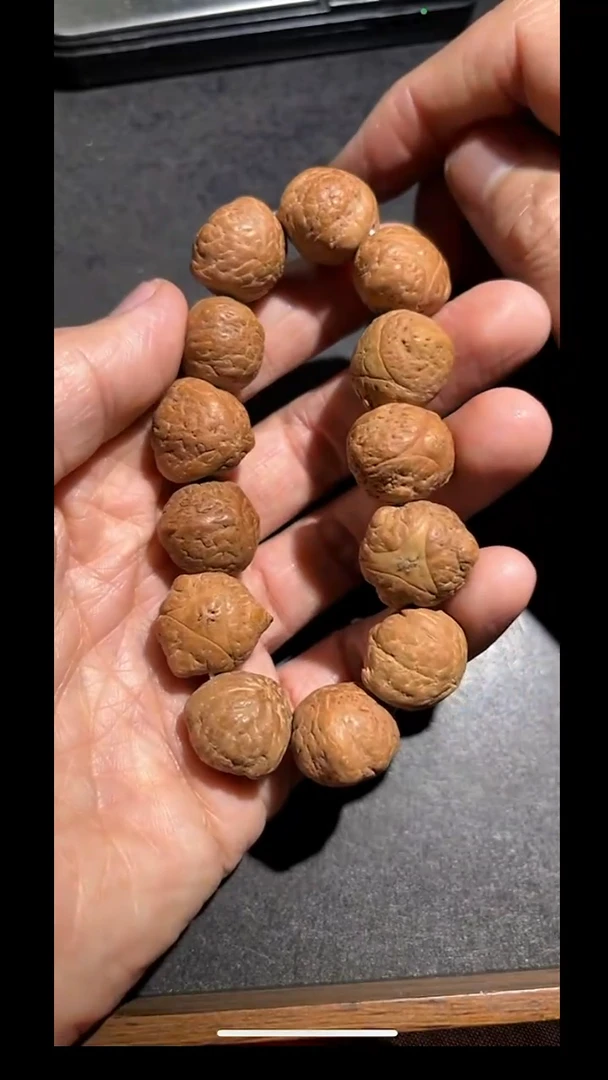 龙眼菩提手串pz701-145龙爪龙眼