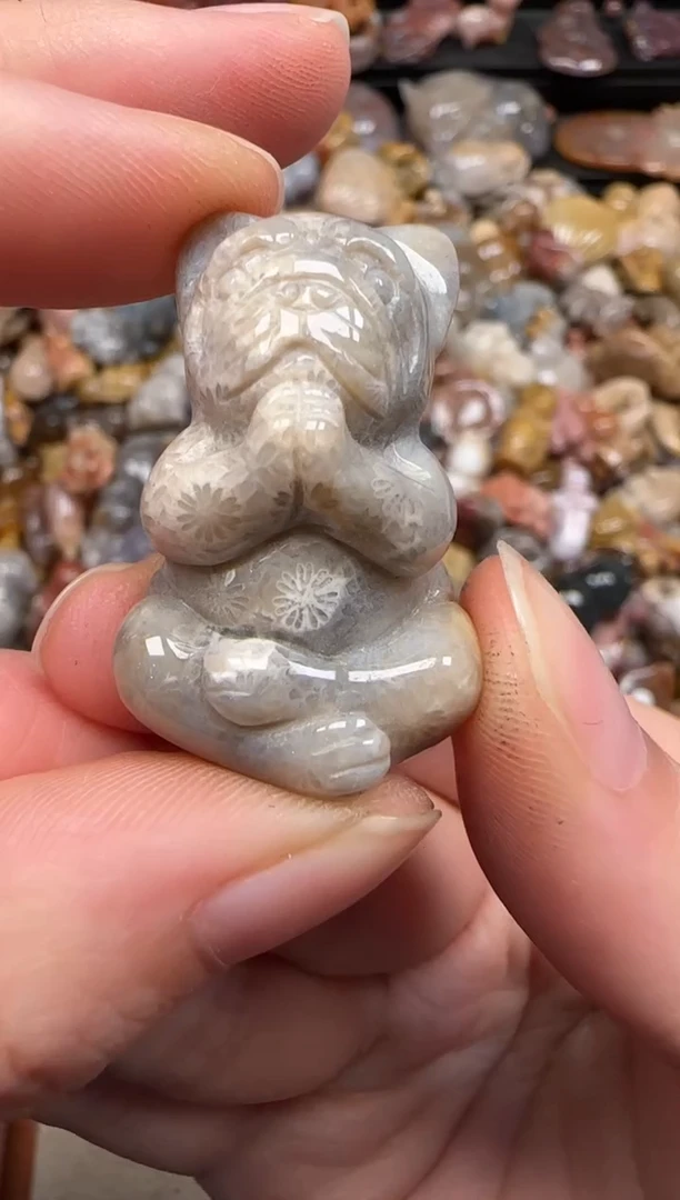 硅化珊瑚（珊瑚玉）未镶嵌颈饰380