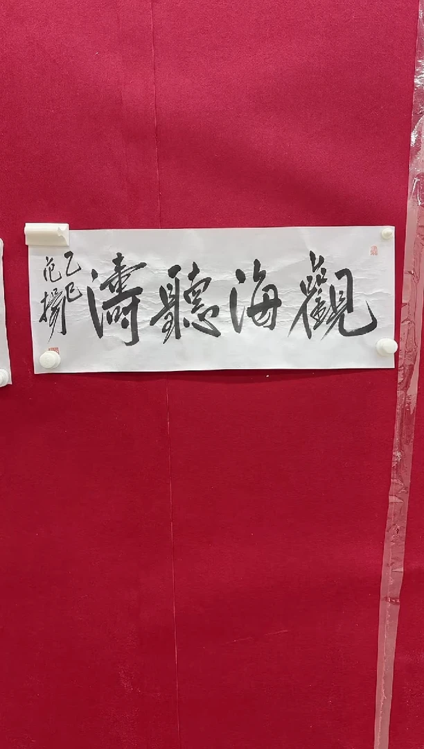 书法Z天津人美--范Y老师-1.7平尺书法作品