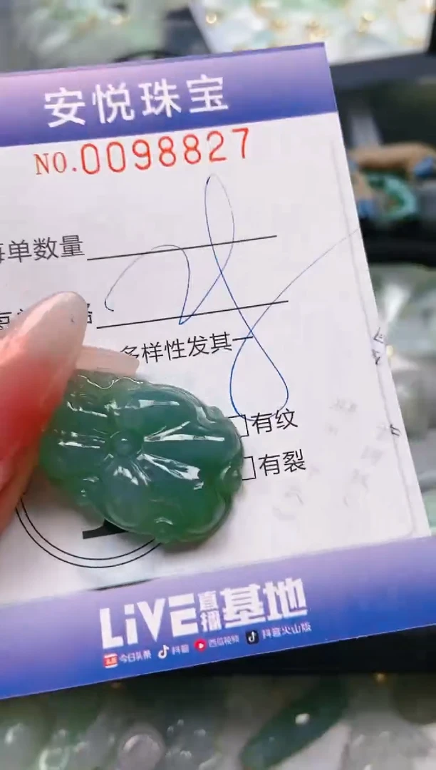 【闪购商品】翡翠颈饰未镶嵌闪购0098827