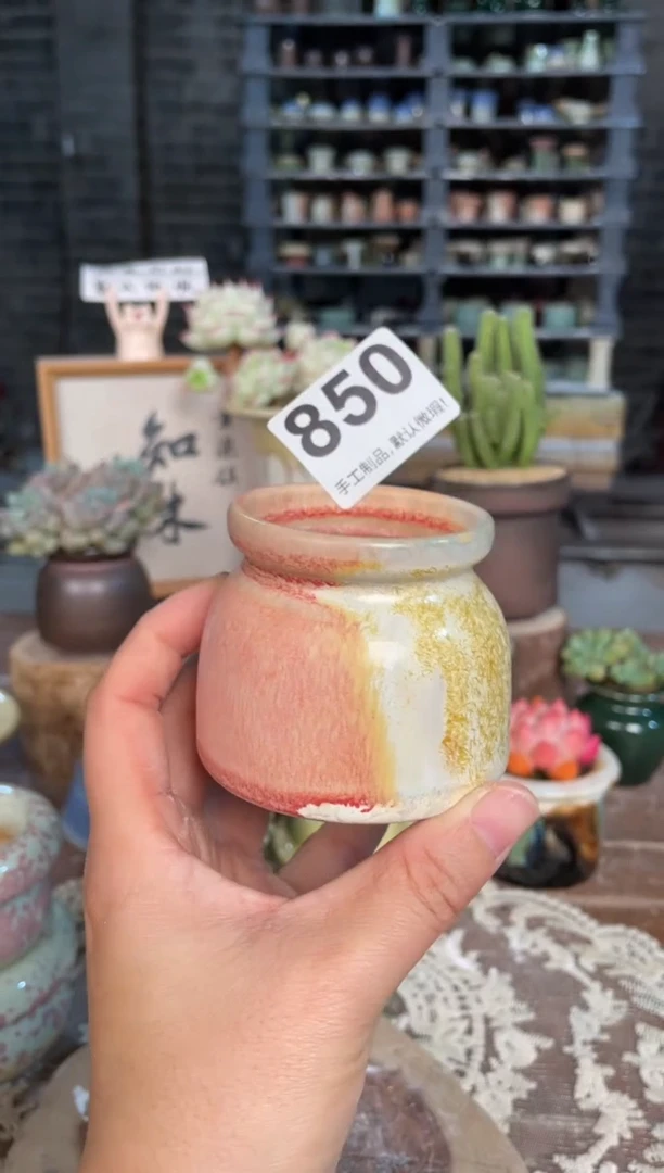 瓷片850小芳直播编号