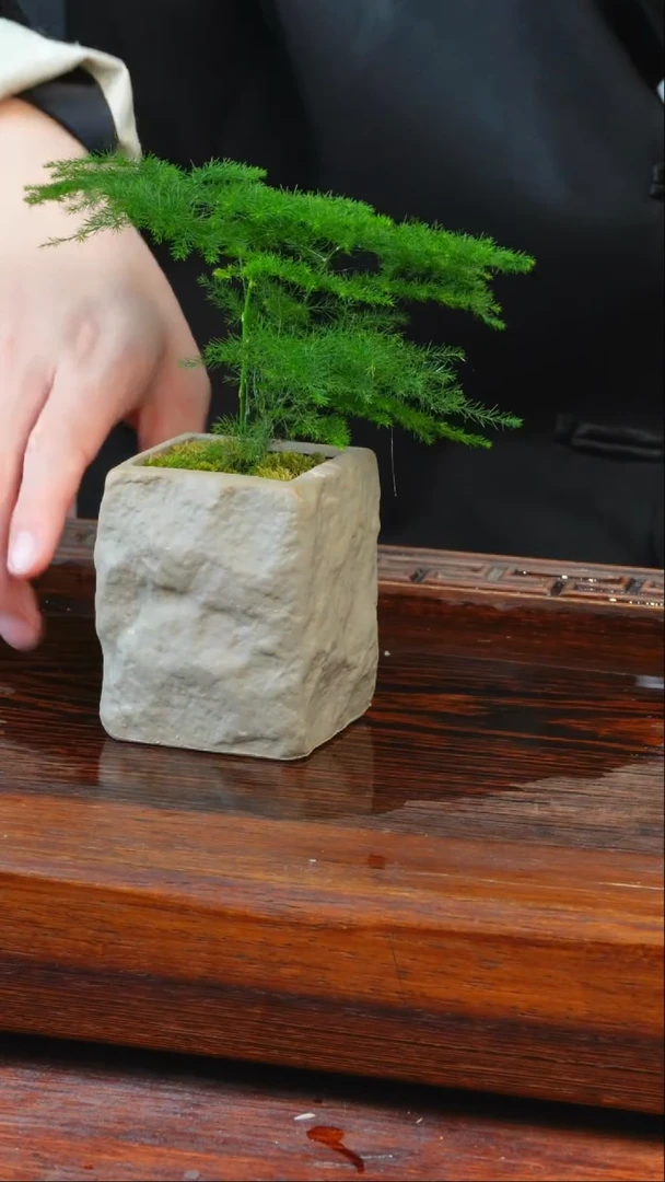 品**生逢春紫陶专属定闪石鼓+茶罐
