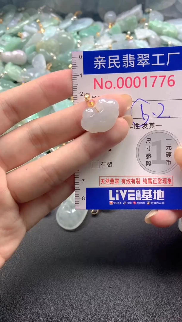 颈饰未镶嵌翡翠1776